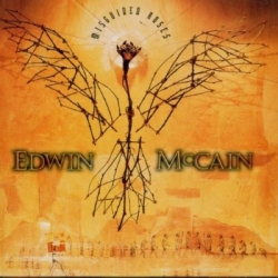 Edwin McCain - Misguided Roses